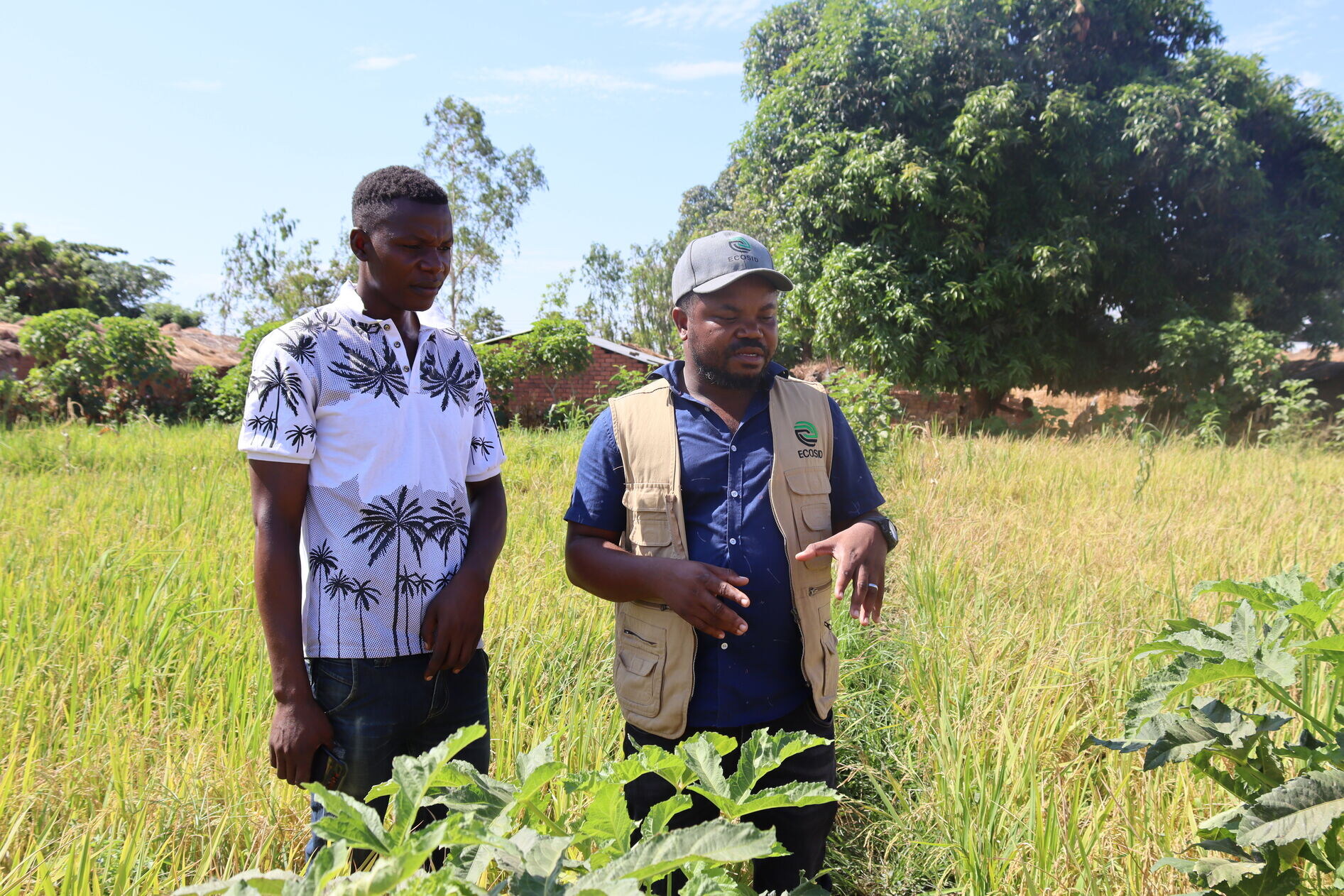 Entrepreneurs Community Solutions and Innovative Development (ECOSID)